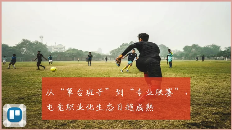 从“草台班子”到“专业联赛”,电竞职业化生态日趋成熟